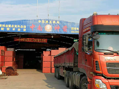竹胶板发车图.jpg